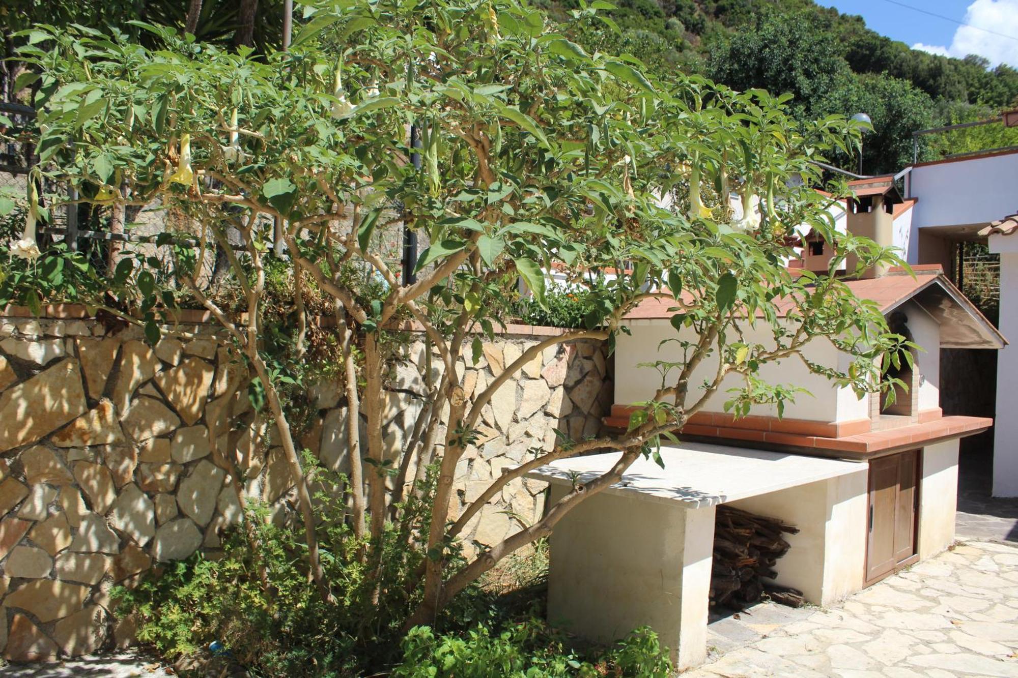 Villa Incanto B&B Caprioli Exterior foto